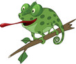 Big green Chameleon cartoon