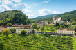 Spitz an der Donau im Frühjahr. (Wachau)