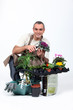Foto: Gardener knelt by plants Gardener knelt by plants