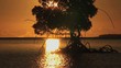 Sunset in the Pacific