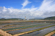 Worm Farm, Aberavon