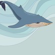Whale vector illustration