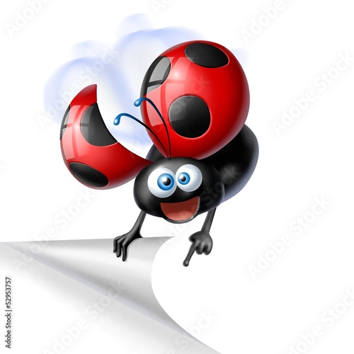Illustration: coccinella angolo coccinella angolo