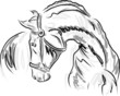 CHEVAL