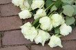 Mourning red rose