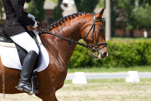 Photo: Dressage horse and rider Dressage horse and rider