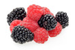 Hiimbeeren und Brombeeren