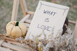 Harvested pumpkins decorate. Fall theme