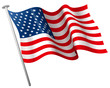 usa flag