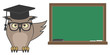 Learning owl