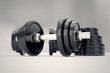 Dumbbells.