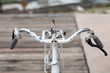 old bicycle