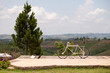 old bicycle in the garden