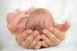 Adult Hands holding newborn baby.