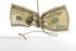 dollars schnur