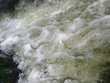 Water Froth
