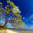 Beach by blue