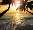 Tropical beach
