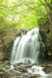 Waterfall of fresh green, Asamaootaki, Gunma, Japan