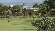 Golf Course Pan