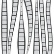 Vector: film strips film strips