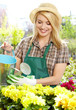 Photo: Florists woman working with flowers at a greenhouse. Florists woman working with flowers at a greenhouse.
