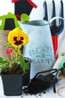 Gardening.