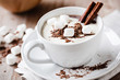 kakao mit marshmallows und gewürzen