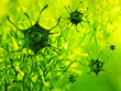 Virus