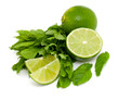 Photo: lime and mint lime and mint