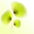 vector background with flowes