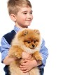 Foto: Little happy boy holding spitz Little happy boy holding spitz