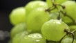 bunch of green grapes on a black background with water drops