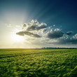 Foto: dramatic sunset over green field dramatic sunset over green field