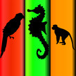 parrot and monkey and the sea horse vector