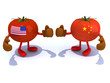 Illustration: Chinese and American tomato with boxing gloves that fight Chinese and American tomato with boxing gloves that fight