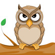 cute owl vector of illustration