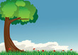 tree with grass  and poppies