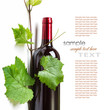 bottle of wine