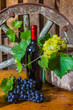 A bottle of wine on the background of the vine