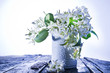 Foto: Jasmine Flower Jasmine Flower
