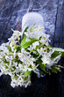 Foto: Jasmine Flower Jasmine Flower