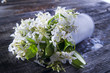Foto: Jasmine Flower Jasmine Flower