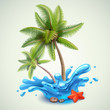 Water splash with palms