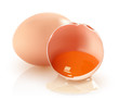 Vector: Two brown eggs Two brown eggs