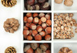 Assortment of nuts,chestnut, pinecone and acorn in white wooden