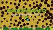 Vidéo : Ngorongoro National Park animation Ngorongoro National Park animation