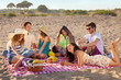 Young party people having enjoyable picnic on the beach