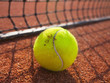 tennis ball on a tennis court