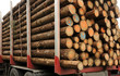 Holztransport
